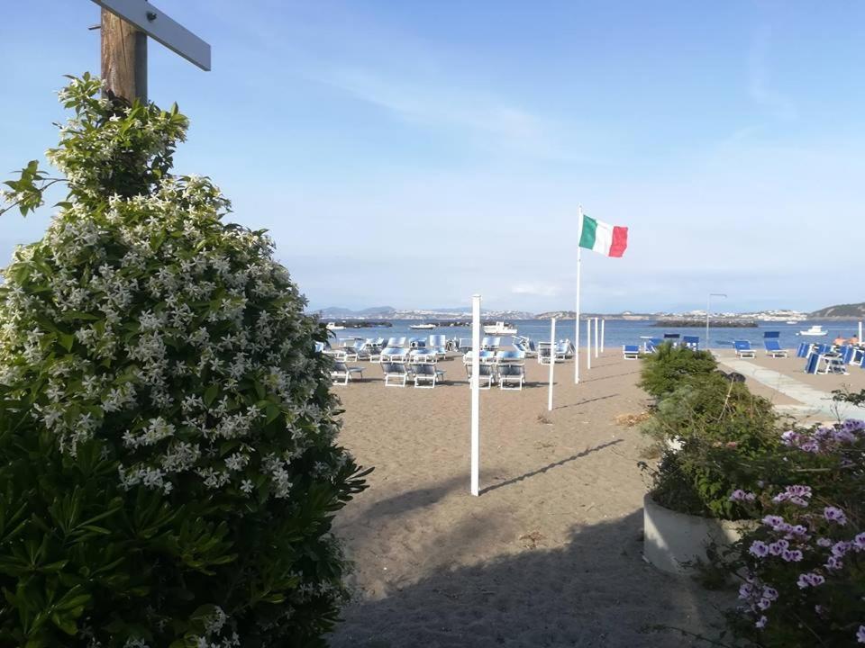 VILLA ISCLA maison d'hôtes Ischia Extérieur photo
